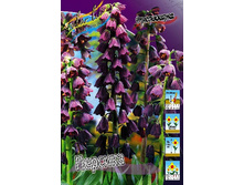 98,65���. ����������� �������(�������� ���� �� 2 ��., ����������� ����� 1��.).jpg