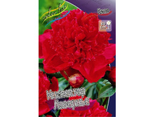 147,95���. ���� ��������� ��������(�������� ���� �� 2 ��., ����������� ����� 1��.).jpg