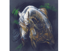 ����� ���� � �������