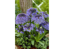 102,25���. ������ ����������(�������� ���� �� 2 ��., ����������� ����� 1��.)���14.jpg