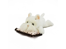 ������ ���� � �������� 20 �� - 114,45 ������