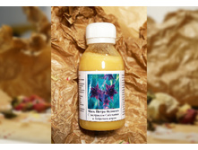 ���� ����� �������� ��� �������� �� �������� ����, 520 ���.