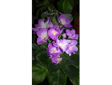 WP 20150503 23 29 38 Pro.jpg