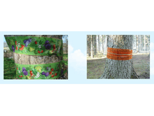 ���� ��� ������� �����