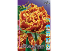 26,65���. ������� ���� ����(��� 10 ��. ���������� ������ 5��.).jpg