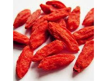 ����� ����� ������ ���� 250��