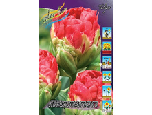 67���. ������� ��������(�������� ���� �� 5 ��., ����������� ����� 1��.).jpg