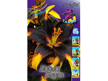 32,42���. �����  ����� ����(�������� ���� �� 10 ��., ����������� ����� 1��.).jpg