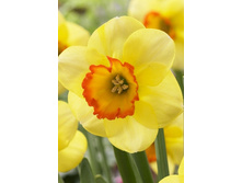 16,56���. ������� ������(��� 10 ��. ���������� ������ 5��.)���15.jpg