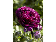 7,19���. ���������� �����(���������� ������ ������ ���������� �� 10 ��.)���14.jpg