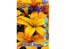 40,23���. �����  ���� ����(�������� ���� �� 10 ��., ����������� ����� 1��.)���14.jpg