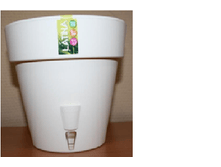 ���� ����� ������.png