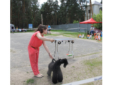 1-IMG 5589.JPG