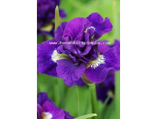 68,87���. ���� ��������� ������(�������� ���� �� 3 ��., ����������� ����� 1��.)���15.jpg