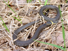 2015-05-03 08-10-02.JPG