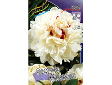 195,4���. ���� ������� �������(�������� ���� �� 2 ��., ����������� ����� 1��.).jpg