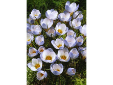 5,08���. ������ ��� ���� (����.)(���������� ������ ������ ���������� �� 15 ��.)���14.jpg