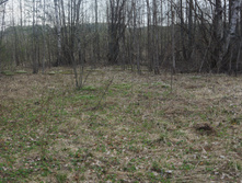 DSC02699.JPG