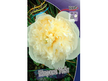 195,4���. ���� ������ ����(�������� ���� �� 2 ��., ����������� ����� 1��.).jpg