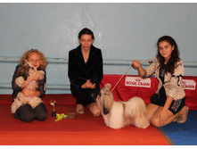 1-5418001bc9034 img3147.jpg