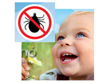 �������������� ������������ ������