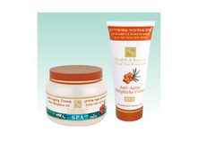 ���� � ��������� ������ ��������