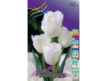 17,28���. ������� ���� ��������(��� 10 ��. ���������� ������ 5��.).jpg