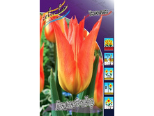 15,12���. ������� ��������(��� 10 ��. ���������� ������ 5��.).jpg