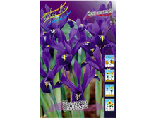 7,04���. ���� ����. �����(���������� ������ ������ ���������� �� 10 ��.).jpg