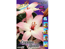 18,92���. �����  ������ ����(��� 10 ��. ���������� ������ 5��.)���14.jpg