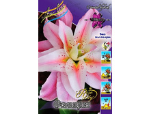 53,46���. �����  ROSELILY �������(�������� ���� �� 5 ��., ����������� ����� 1��.)���14.jpg