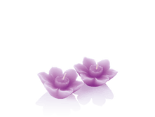 ����� ��������� ������. ���� 204,97 ���.