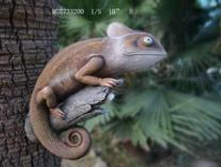 ������� ��������.jpg