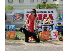 1-IMG 5597.JPG