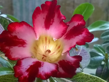 WP 20150515 11 26 00 Pro.jpg