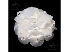 �321 �������� ����-��� (14��) "�������"