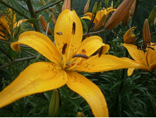 ����� �� 20 �� 50