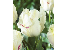 17,28���. ������� ������ ������(��� 10 ��. ���������� ������ 5��.)���15.jpg