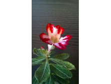 WP 20150516 18 30 15 Pro.jpg