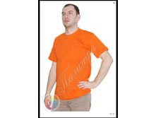 �������� �����������.jpg