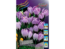 7,67���. ������ ������(���������� ������ ������ ���������� �� 15 ��.).jpg