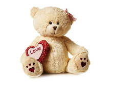 ����� ���� � ������� 24 �� - 555 ������