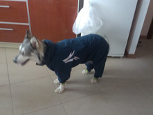 IMAG2544.jpg