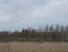 DSC02691.JPG