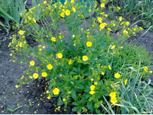 �������� ������������_������.jpg