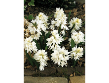 5,66���. �������� ��������� �����(���������� ������ ������ ���������� �� 15 ��.).jpg