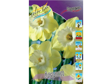 7350617.15rub. NARCISS Avalon -Rjd 10 st. Zakazivaem kratno 5st.-.jpg