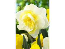 23,77���. ������� ���� �����(��� 10 ��. ���������� ������ 5��.)���15.jpg