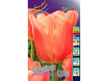 12,95���. ������� �������� ����(��� 10 ��. ���������� ������ 5��.).jpg