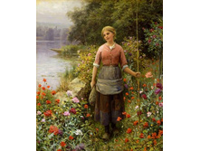 S9344573.jpg